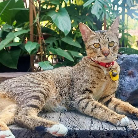 Baan Canalee Phra Nakhon Si Ayutthaya Exteriör bild