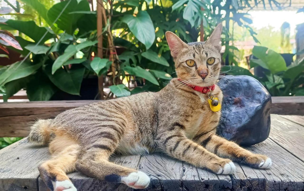 Baan Canalee Phra Nakhon Si Ayutthaya Exteriör bild